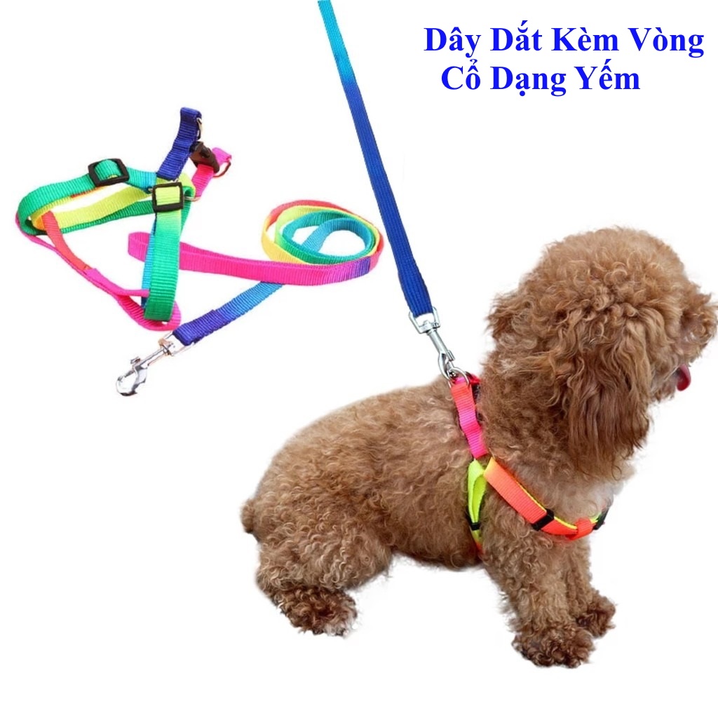 Hanpet - Dây dắt chó- Dây dắt 7 sắc kèm vòng cổ