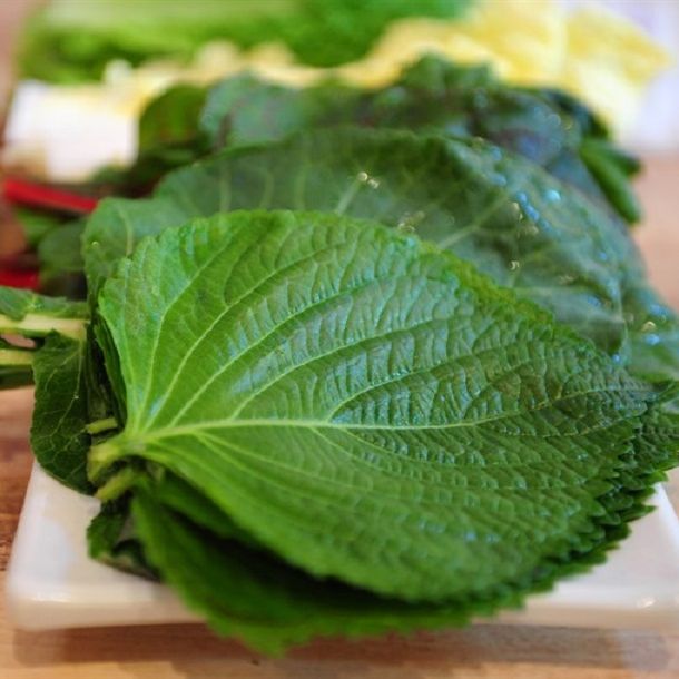 Hạt Giống Rau Thơm Mè, Lá Vừng Hàn Quốc (0.5gr)