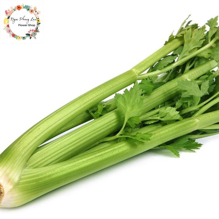 Hạt Giống Rau Cần Lá Xanh (Cần Tây) - Gói 10 Gram