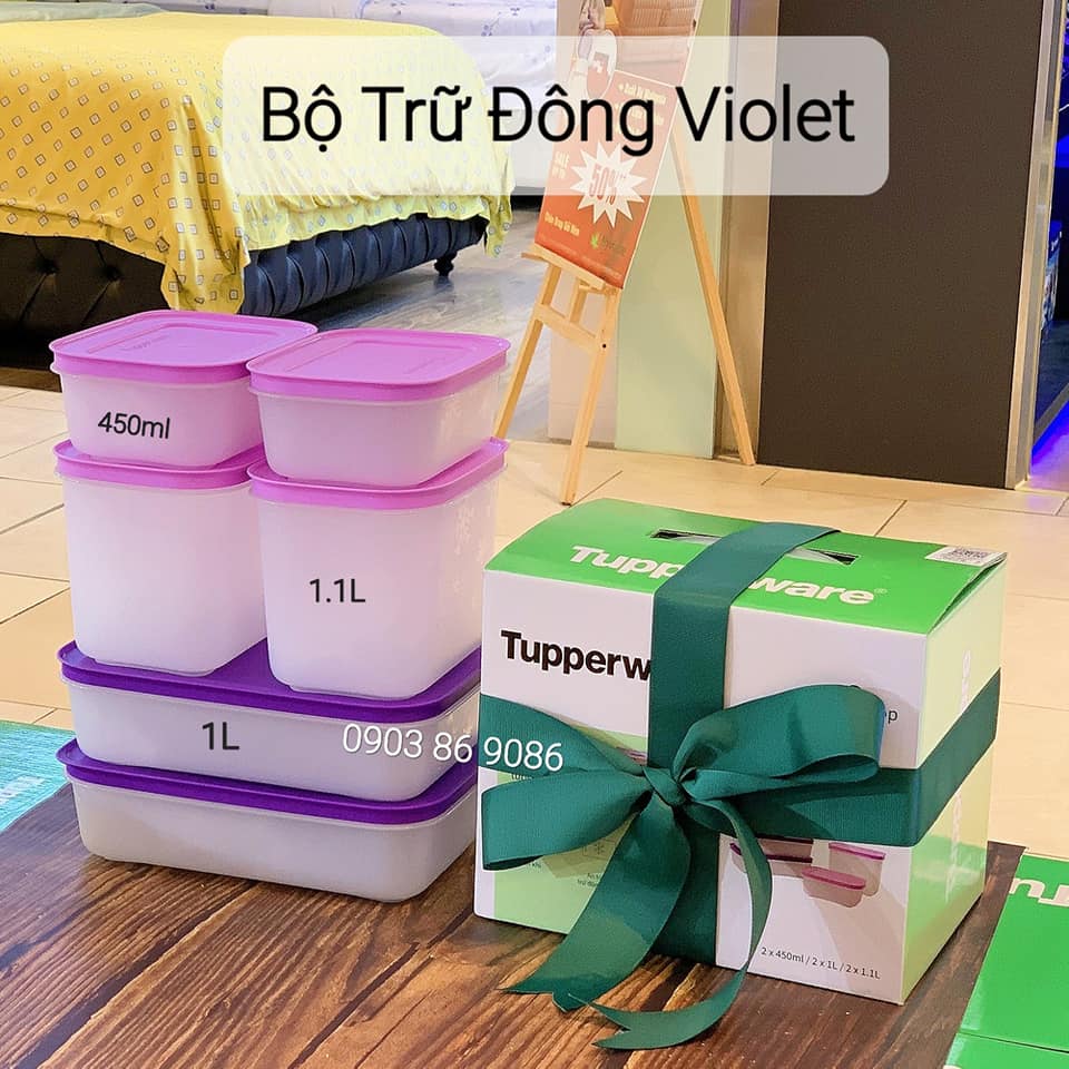 BỘ HỘP TRỮ ĐÔNG TUPPERWARE VIOLET (6)