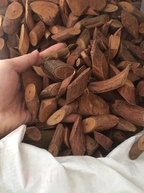 Cây Mú Từn - Tăng cường sinh lý ( Loại VIP 1kg)