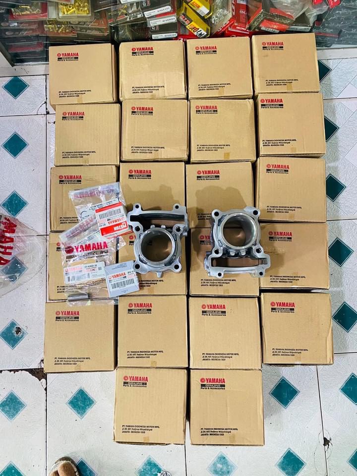 Lòng vision 57 gắn cho ex135 , ex 150