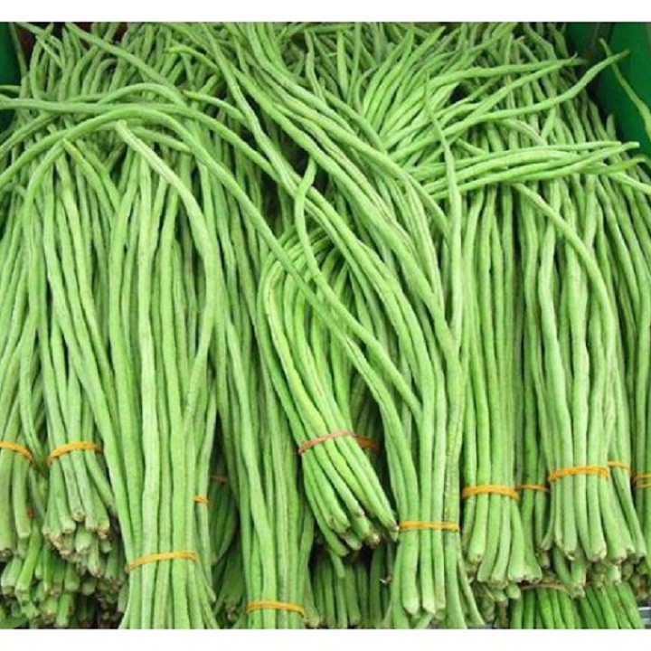 Combo 4 gói hạt giống ăn trái dễ trồng