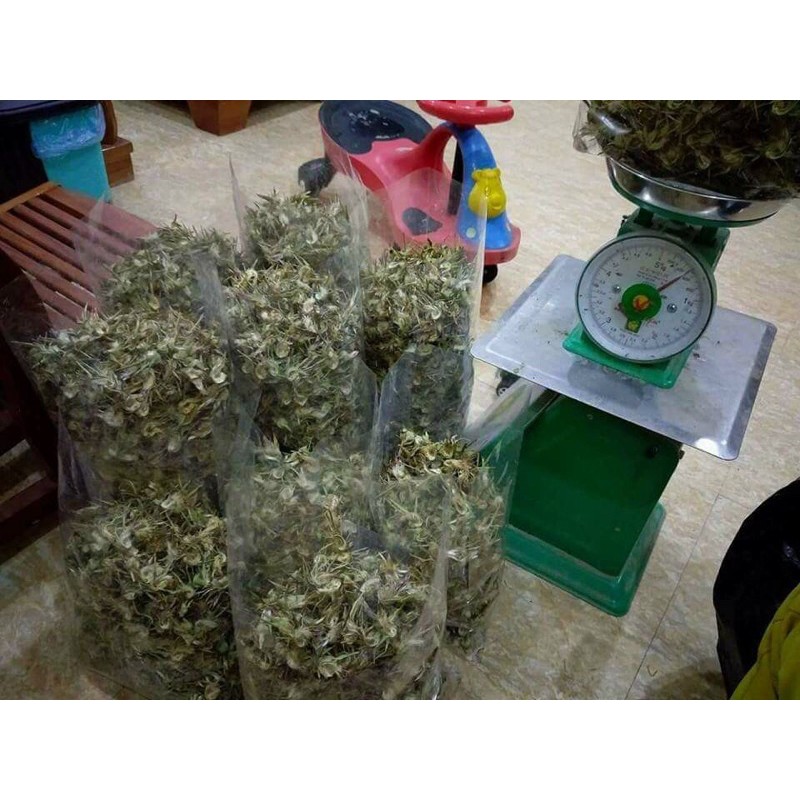 Bông Atiso khô Sapa mát gan giải độc