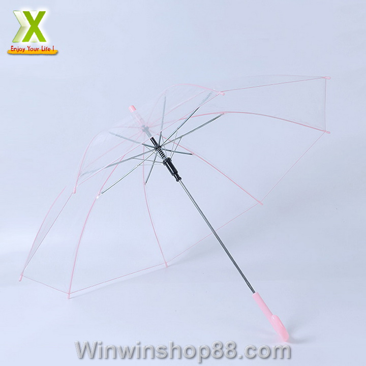 Dù trong suốt đi mưa màu hồng