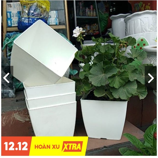 CHẬU VUÔNG TRỒNG HOA CÂY CẢNH V9(9*9*11CM)