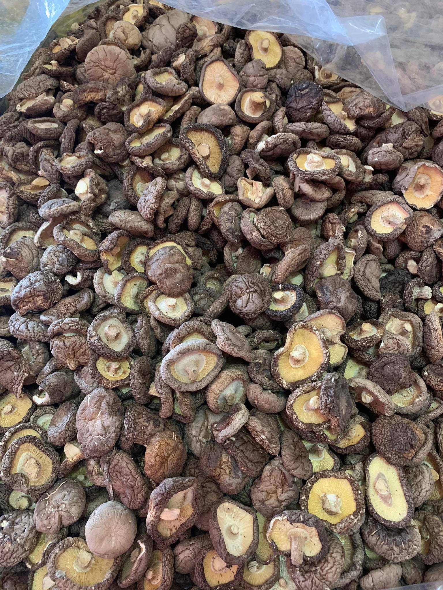 Nấm hương khô loại đặc biệt