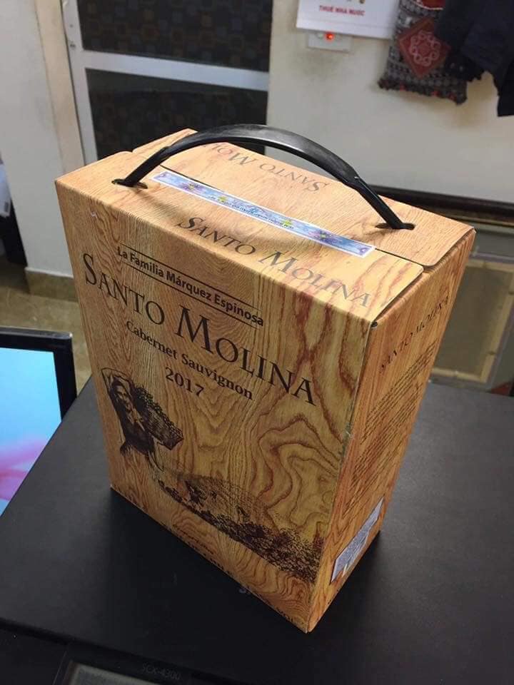 Rượu Vang Bịch Chile Santo Molina 3L