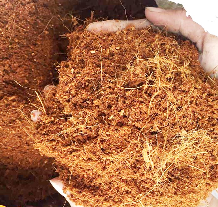 MỤN XƠ DỪA DÙNG GIEO CÂY, TRỘN ĐẤT TRỒNG CÂY 2dm3