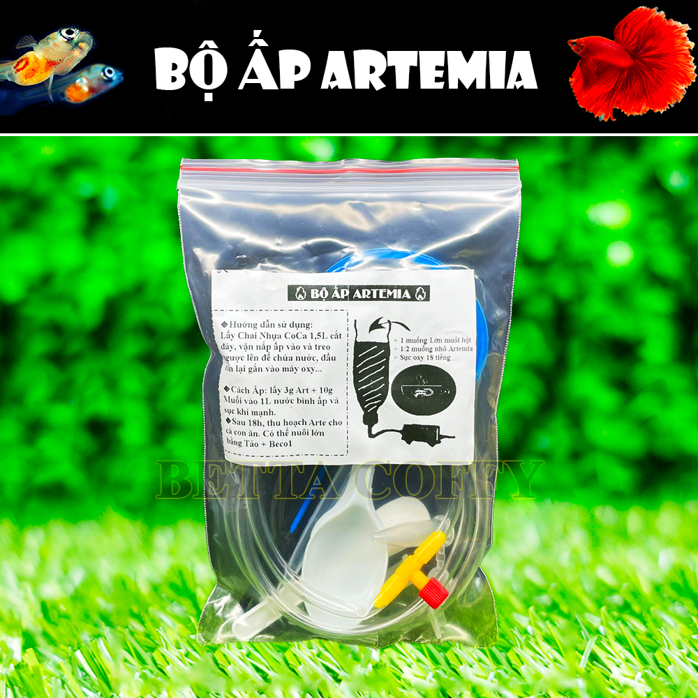 COMBO Bộ ấp Artemia - Thức ăn cho cá nhỏ