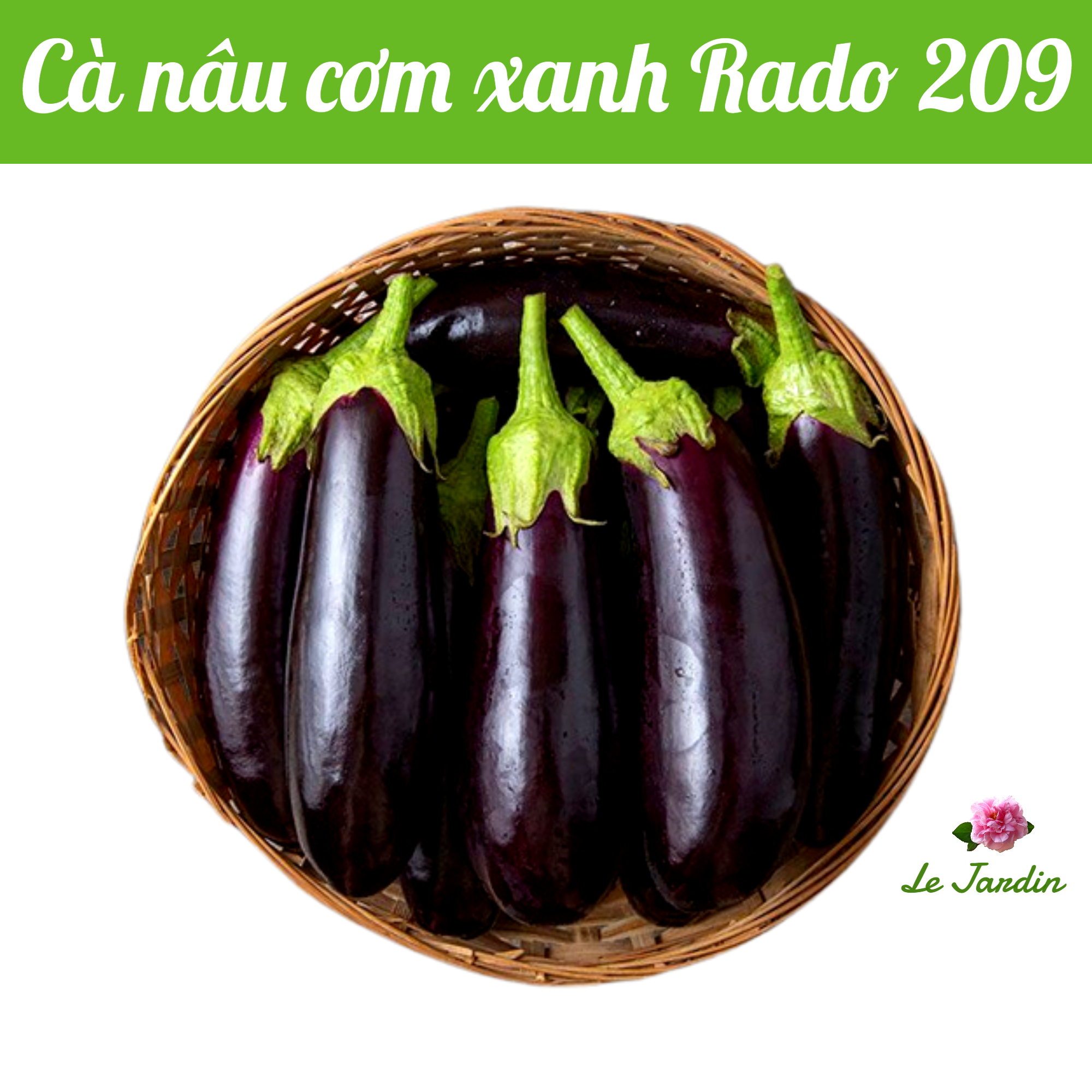Hạt giống cà tím đen (cà nâu cơm xanh) Rado 209 gói 0,5gr - DỄ TRỒNG