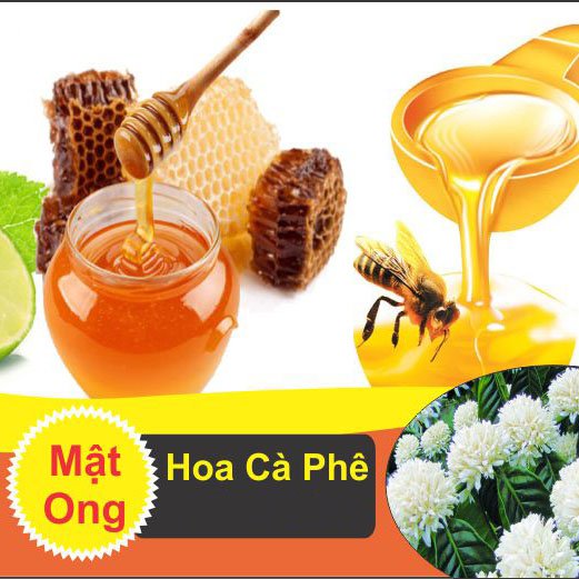 1 lít mật ong hoa cà phê (nguyên chất) (có bảo hành được kiểm tra hàng) | Lazada.vn 1 Lít Mật Ong Hoa Cà Phê (Nguyên Chất) (Có Bảo Hành Được Kiểm Tra Hàng) | Lazada.Vn