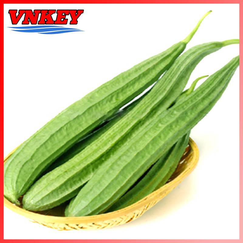 Hạt Giống Mướp Khía Ngon Ngọt