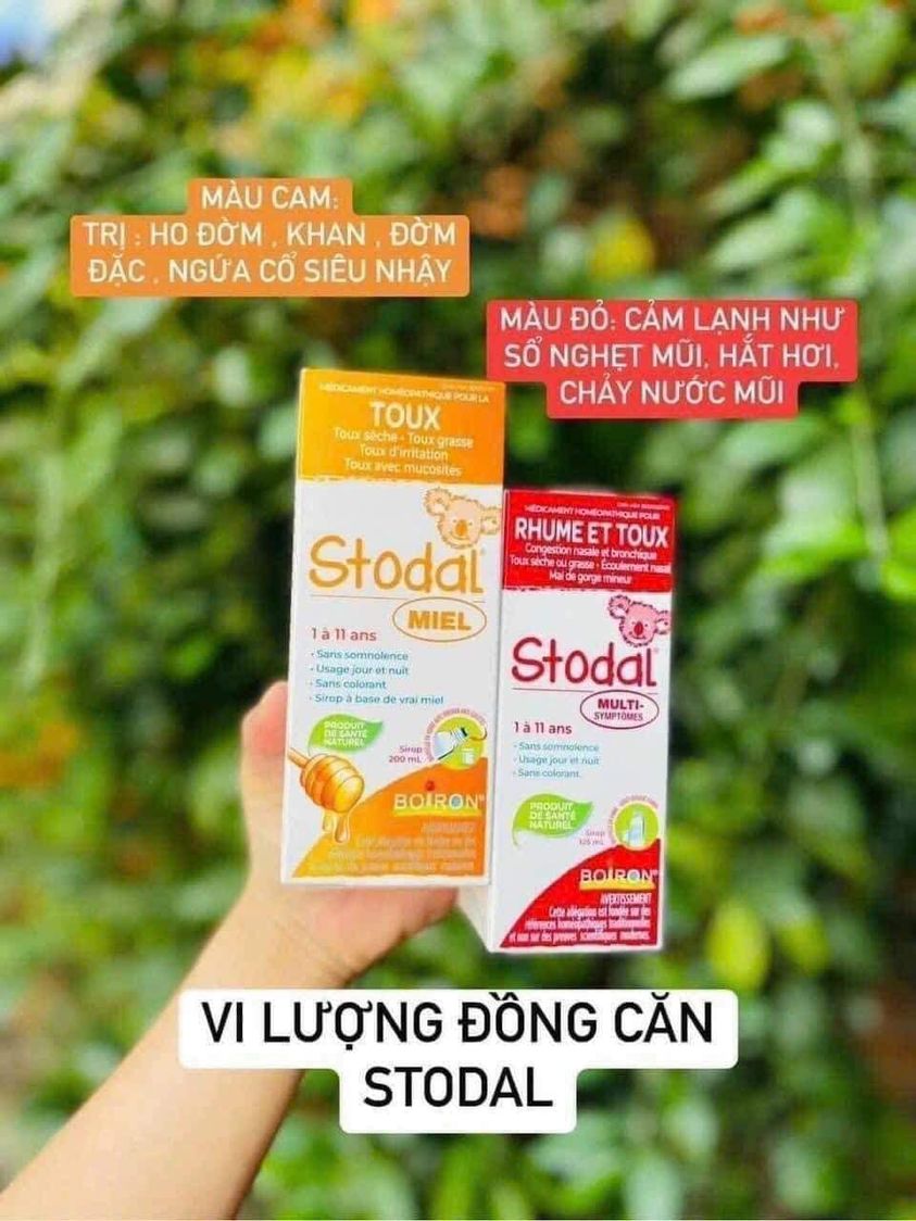 Hộp Stodal cold and cough nội địa Canada 125ml