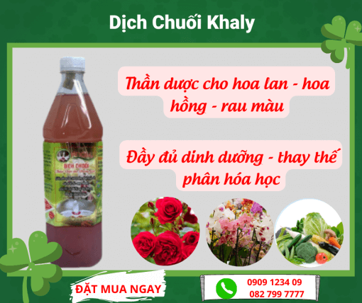 Dịch chuối đậm đặc 1 lít, Dịch chuối khaly
