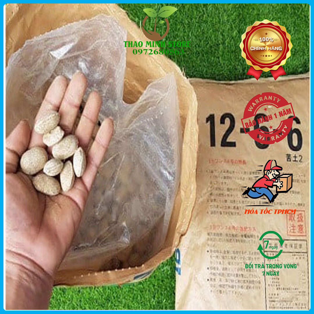 Phân tan chậm hạt bàng Nhật Bản 12-6-6 Túi 200gram