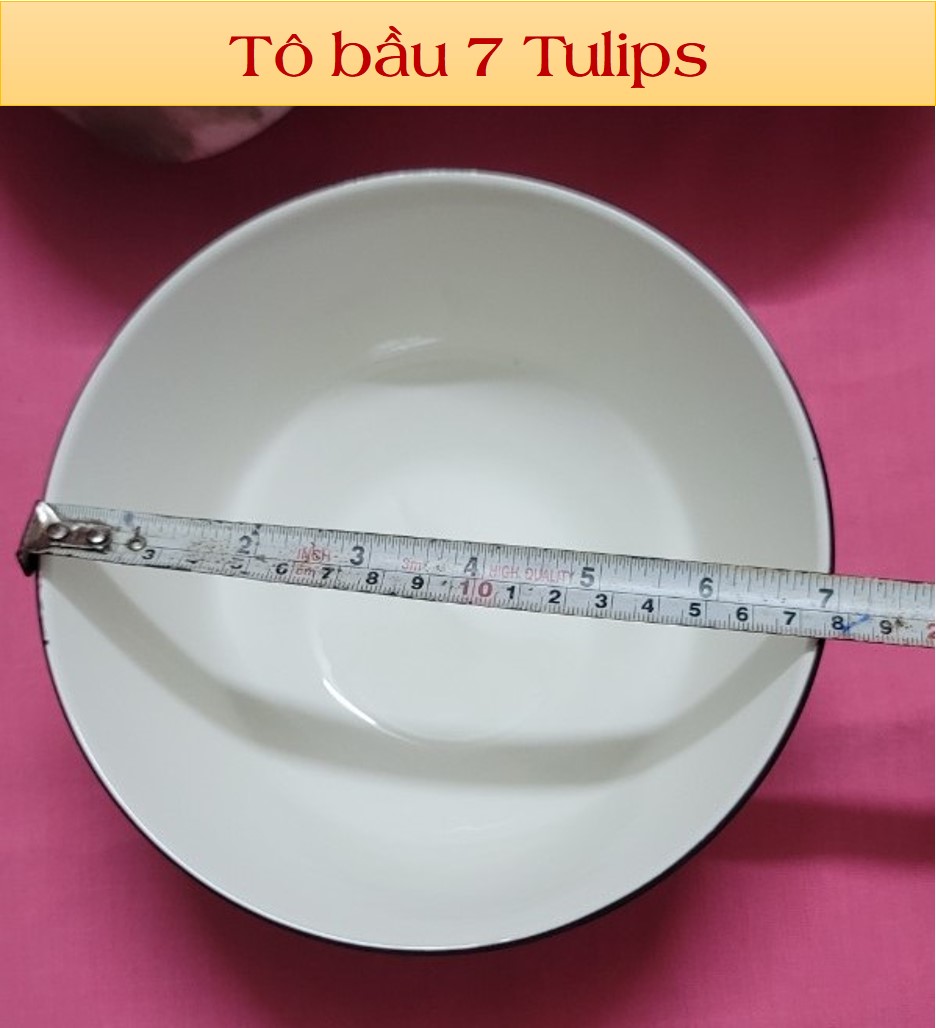 TÔ BẦU GỐM SỨ 4D HỌA TIẾT TULIPS - ĐỦ SIZE ( 6 ,7, 8)