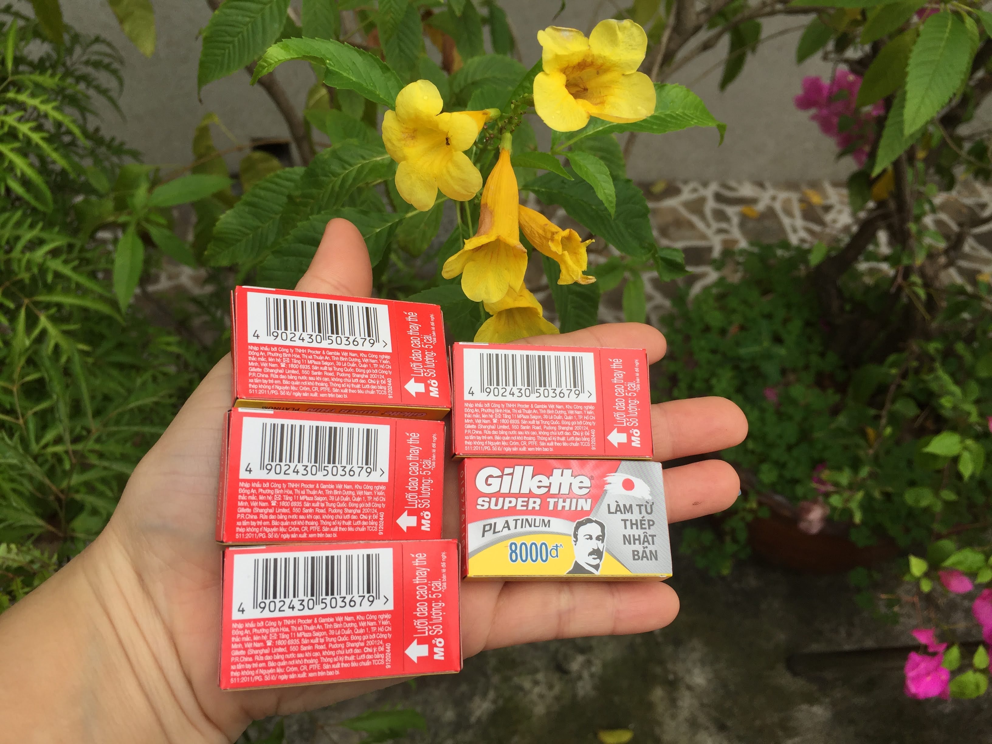 Vỉ dao lam Gillete siêu bén 100 lưỡi
