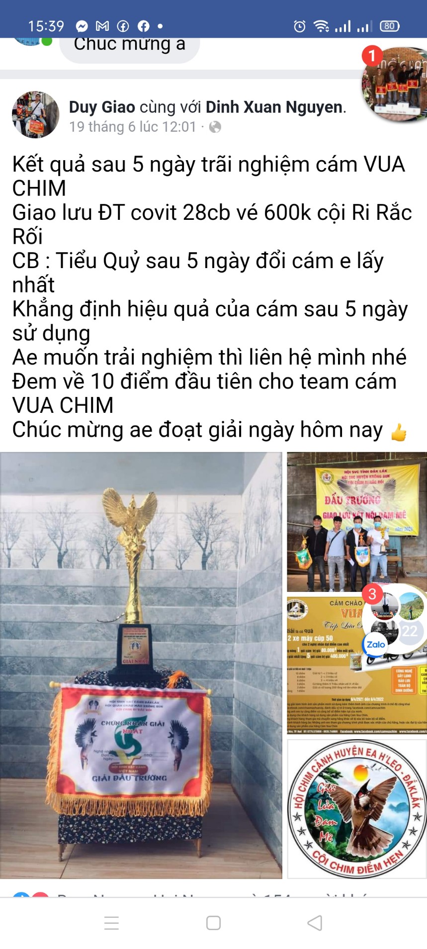 cám vua chim sấy lạnh dưỡng đấu