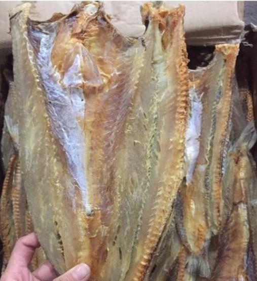 Khô Cá Mối Trắng - Đặc Sản Minh Triết Cà Mau
