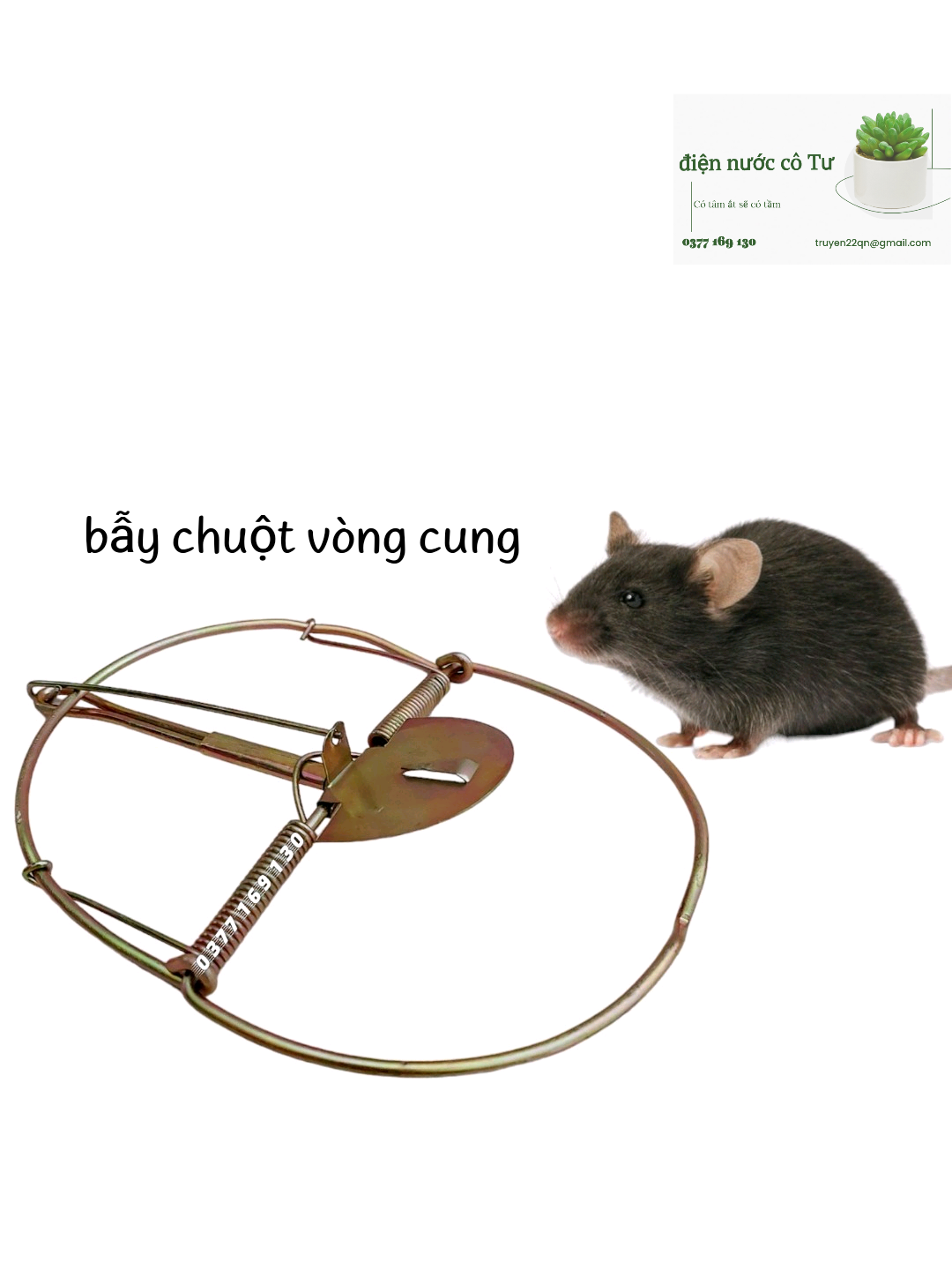 2 miếng keo dính chuột USA