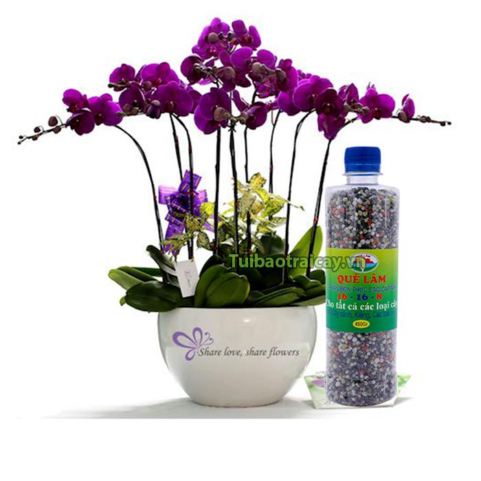Phân bón thúc NPK Quế Lâm 16-16-8