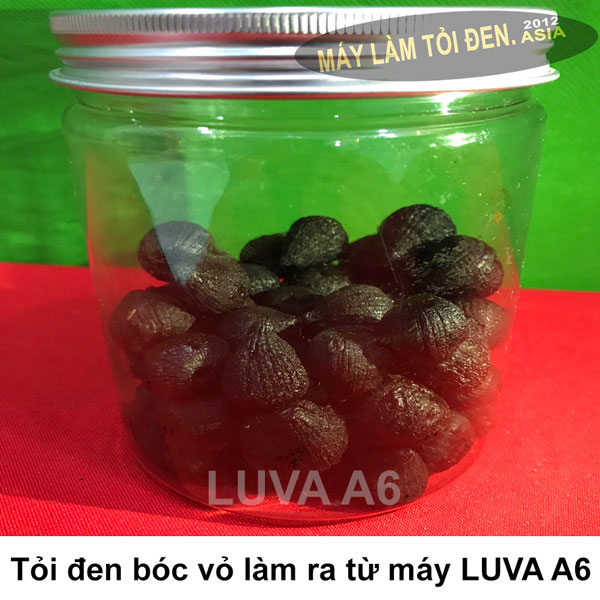 [ FREESHIP Toàn Quốc ] Máy làm tỏi đen Luva A6 công nghệ Nhật Bản