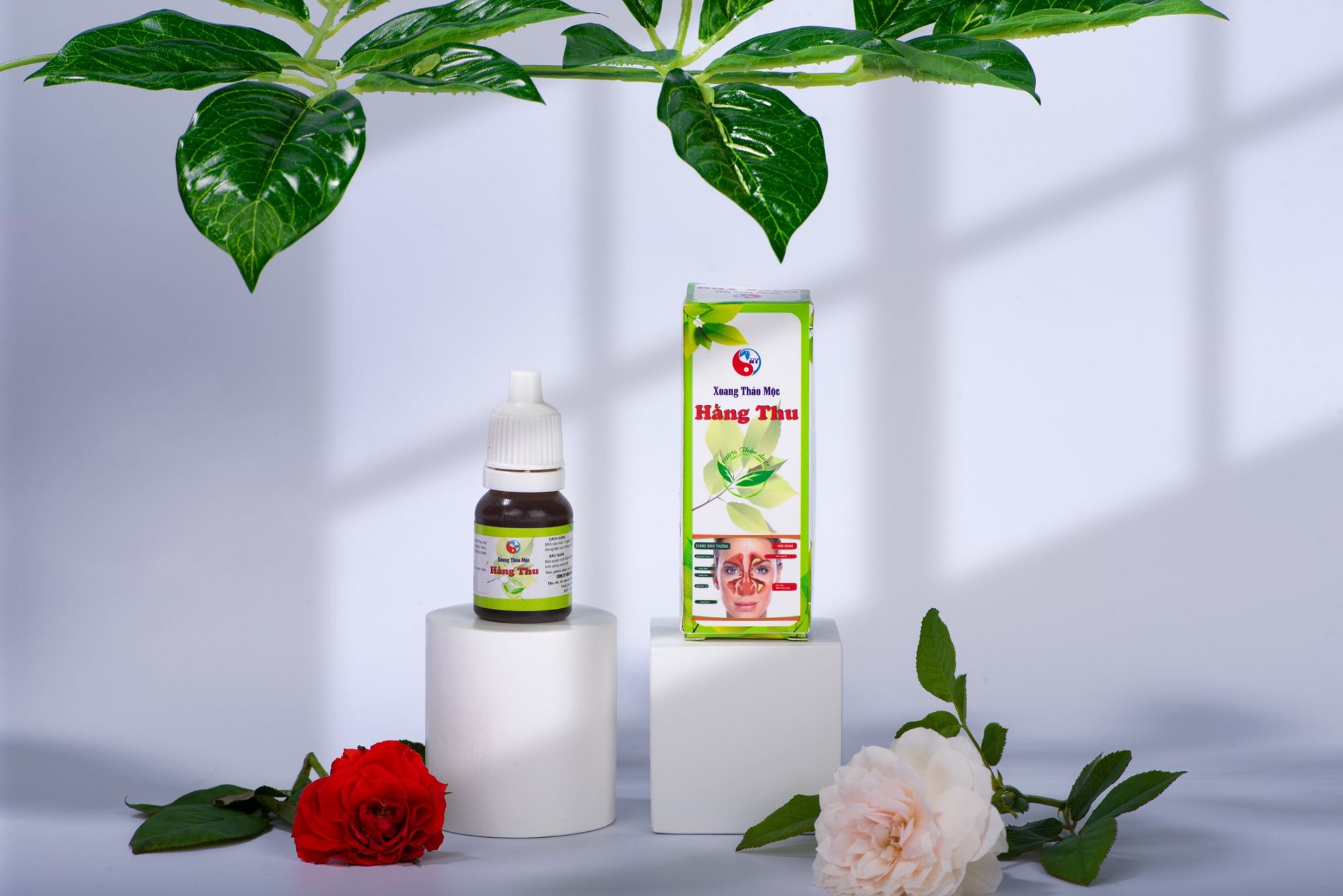 Xoang Thảo Mộc Hằng Thu