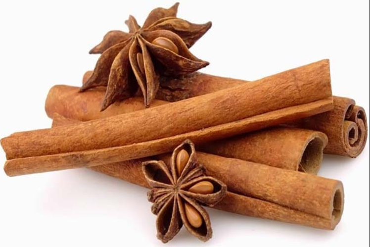 Tinh dầu vỏ quế Cinnamon - 10ml