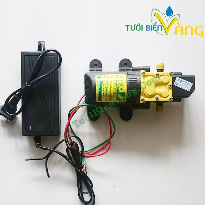 Máy bơm mini tăng áp kèm đổi nguồn 12v