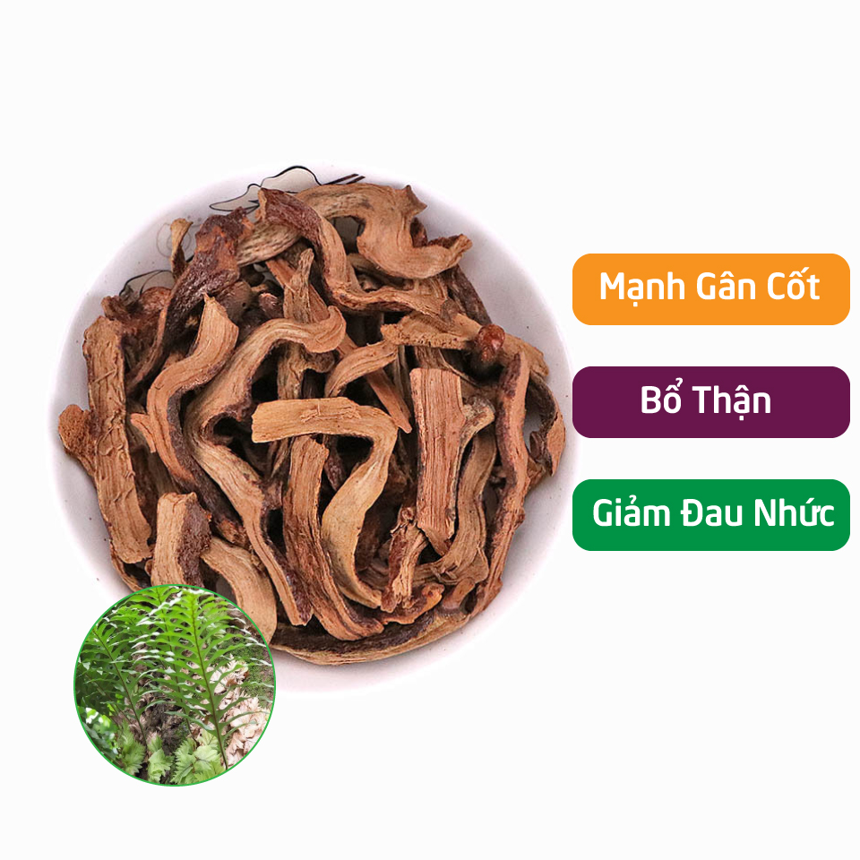 [Hàng mới về] Tắc kè đá (cốt toái bổ) sấy khô 500g - Thảo Dược Tấn Phát - Hỗ trợ bồi bổ gân cốt - giúp hoạt hu.yết và b.ổ m.áu cực tốt - chuyên dùng để sắc nước và pha trà