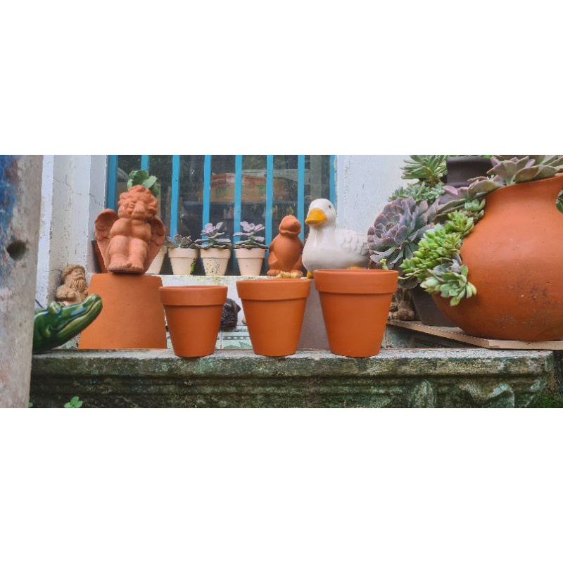 Chậu đất nung Bình Dương sz 10x10, 9x9, 8x8