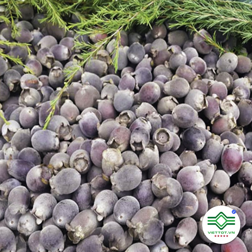 Qủa sim rừng khô (gói 1kg) -EG040