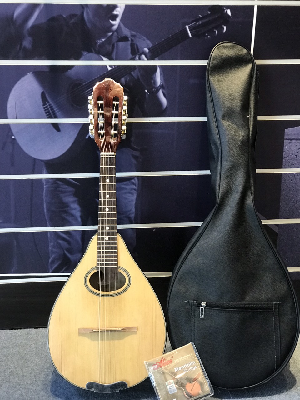 Đàn mandolin giá rẻ chất lượng tốt