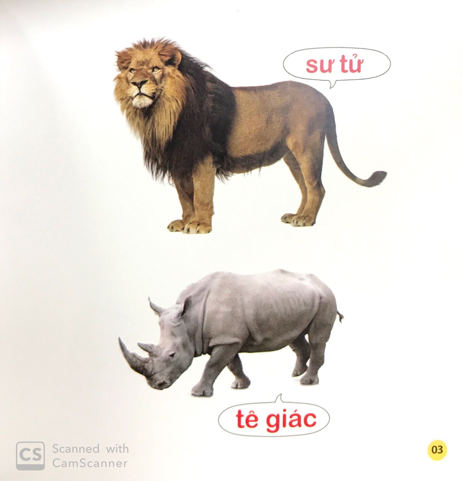 Sách cho bé - 100 Từ Đầu Đời Của Bé: Con Vật (Tái Bản 2019)