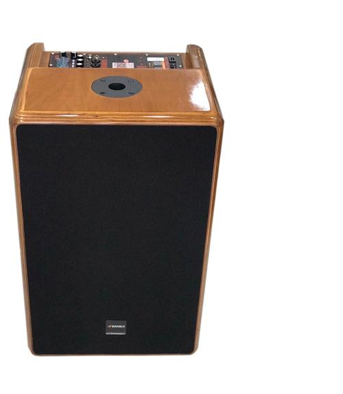 Loa Sansui SG 15-10