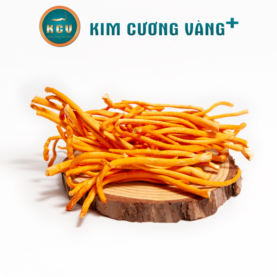 Đông Trùng Hạ Thảo Khô KCV (Hộp 10G)