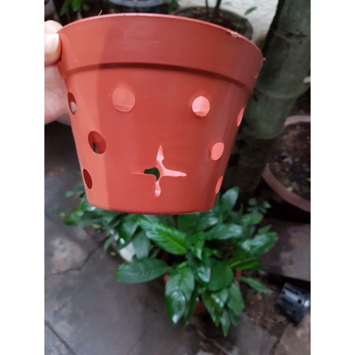 5 CHẬU NHỰA TRỒNG LAN GIẢ GỐM ĐẤT NUNG(145x100mm)