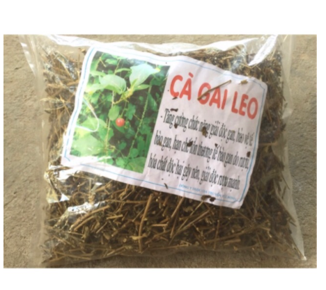Cà gai leo khô 1kg GT020
