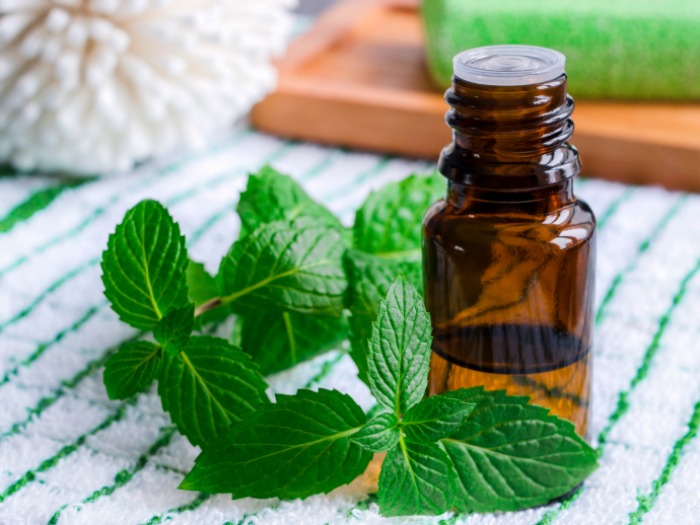 Tinh dầu bạc hà Peppermint