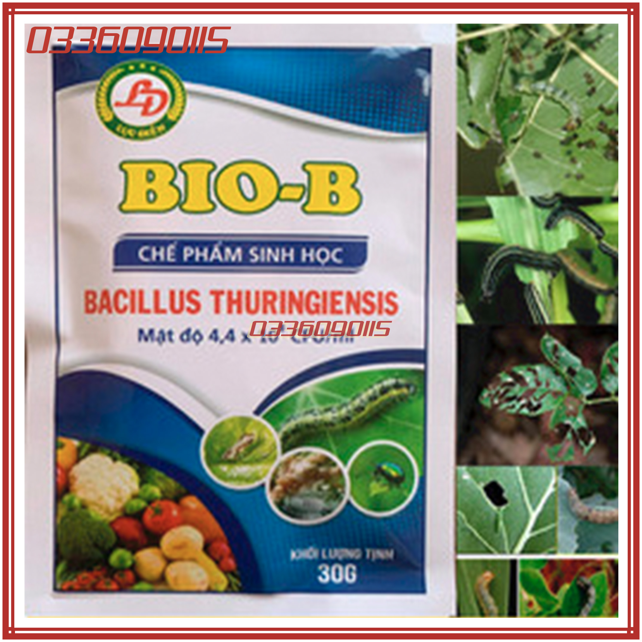 Chế Phẩm Sinh Học Bio B Trừ Bọ Trĩ, Nhện Đỏ, Rệp Sáp, Sâu Rầy