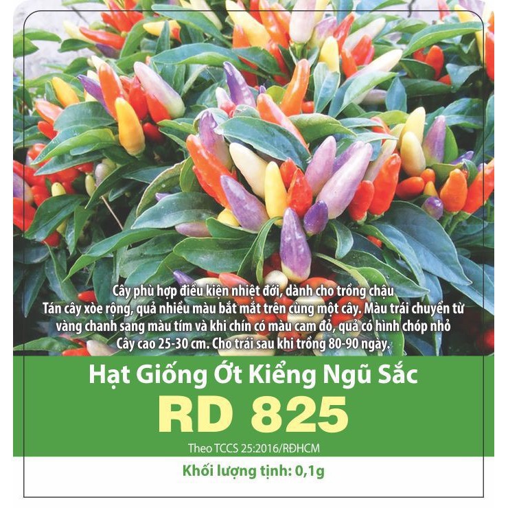 Hạt Giống Ớt Kiểng Ngũ Sắc