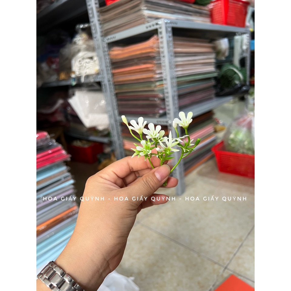100gr hoa cỏ điểm trang trí - phần 2