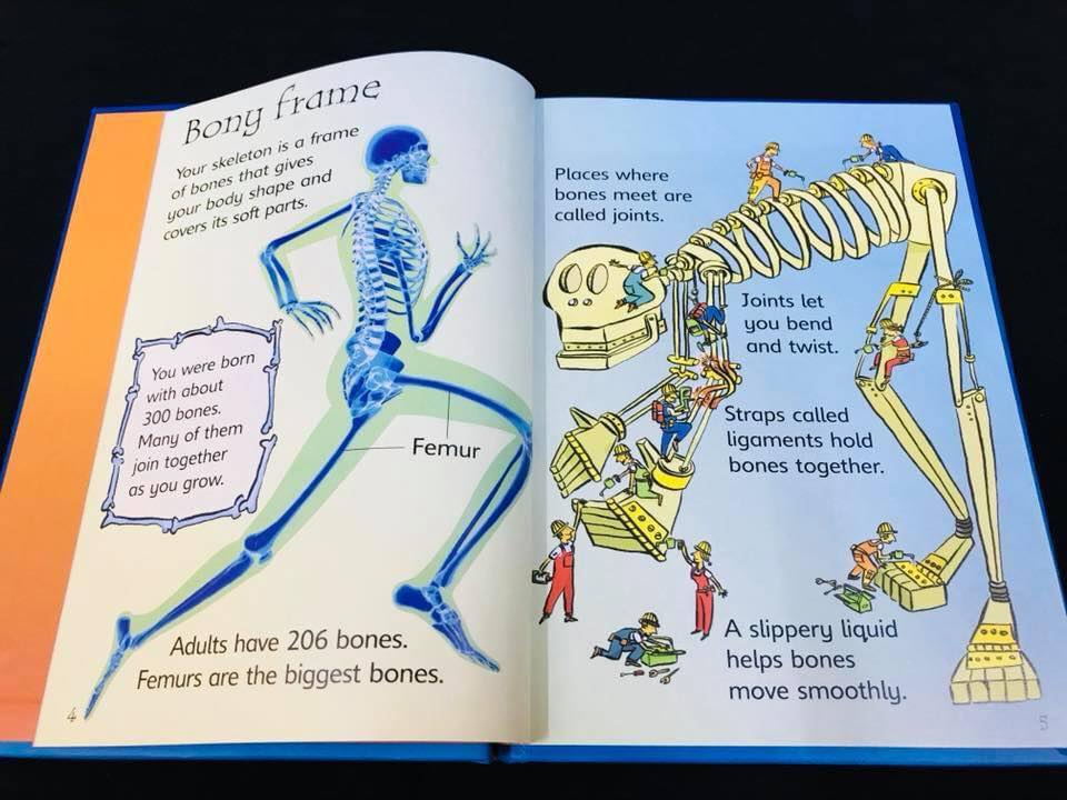 Usborne beginners Science bộ 10 quyển