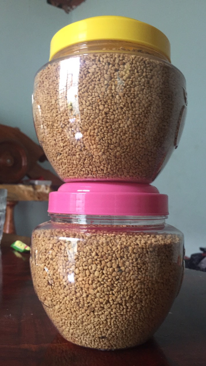 Phấn ong hoa cà phê