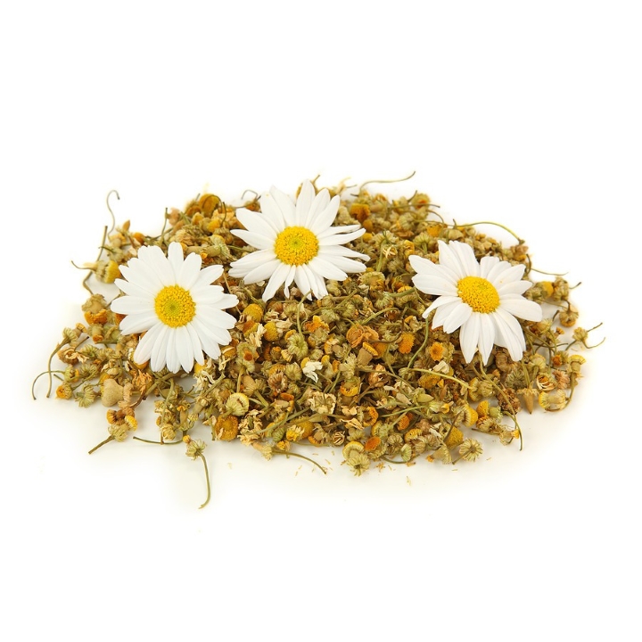Hạt Giống Cúc Trà CHAMOMILE 216 (0.1g)