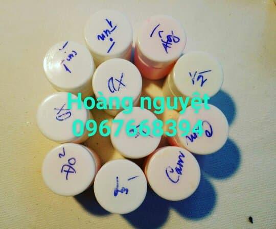Combo 5 lọ bột dạ quang 4g và 1 lọ sơn pha