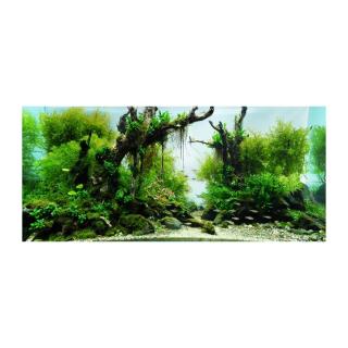 Tranh phông nền thủy sinh dán hồ cá VTC Aqua_001 KT 90 x 40 cm thumbnail