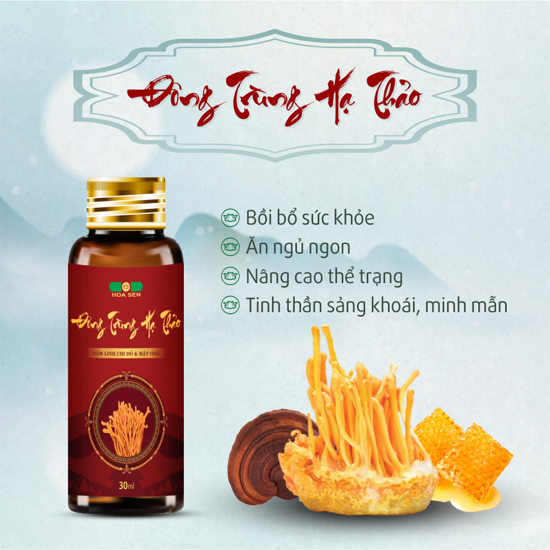 Đông trùng hạ thảo (Hàng chính hãng)