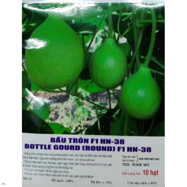 Hạt giống bầu tròn f1 - gói 10 hạt